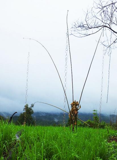 Outil dans les rizières pour les sacrifices - Ratanakiri