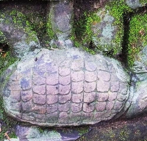 La tortue de Beng Méléa, symbole de sagesse