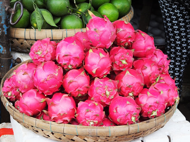 Pitaya ou fruit du dragon - Kompong Cham