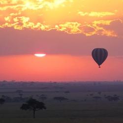 Serengeti - Tanzanie